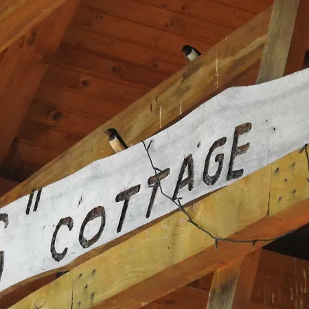 Exo Log Jezero (Konjic)