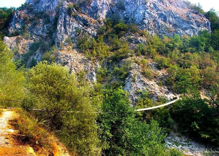 빌라 Exo Log 예제로